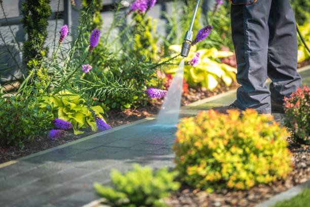 Best Dumpster Area Cleaning  in English Creek, NJ