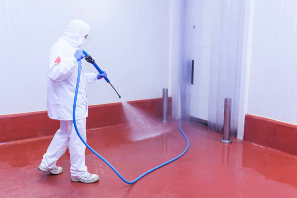 Best Fleet Vehicle Washing  in English Creek, NJ